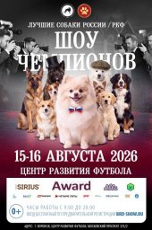 В Воронеже впервые соберутся чемпионы и редкие породы собак со всей России